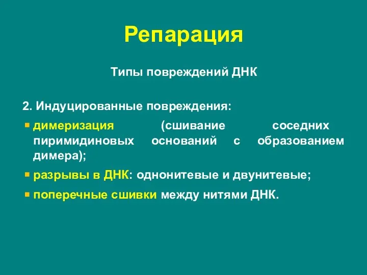 Типы повреждений ДНК 2. Индуцированные повреждения: димеризация (сшивание соседних пиримидиновых оснований с