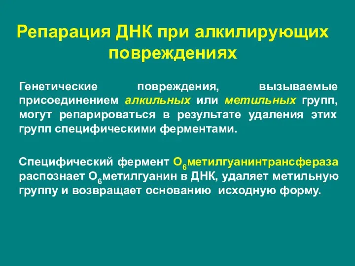 Репарация ДНК при алкилирующих повреждениях Генетические повреждения, вызываемые присоединением алкильных или метильных