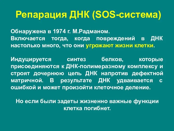 Репарация ДНК (SOS-система) Обнаружена в 1974 г. М.Радманом. Включается тогда, когда повреждений