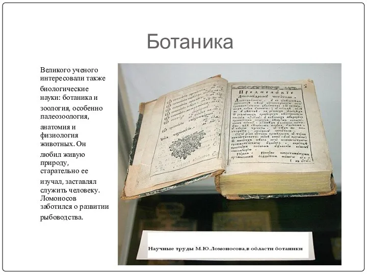 Ботаника Великого ученого интересовали также биологические науки: ботаника и зоология, особенно палеозоология,