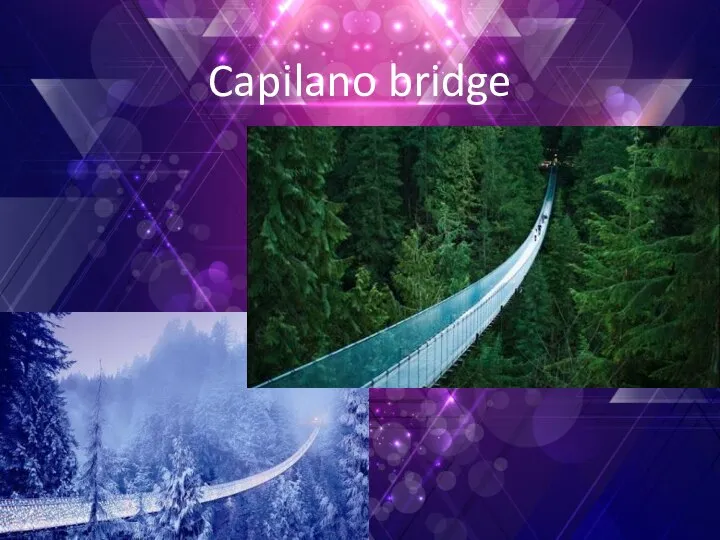 Capilano bridge