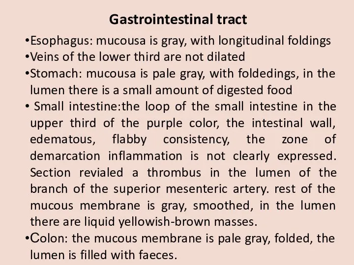 Gastrointestinal tract Esophagus: mucousa is gray, with longitudinal foldings Veins of the