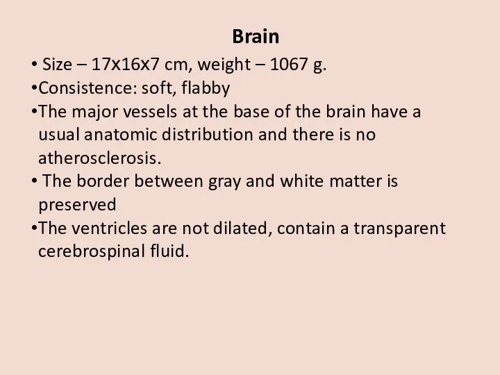 Brain Size – 17х16х7 cm, weight – 1067 g. Consistence: soft, flabby