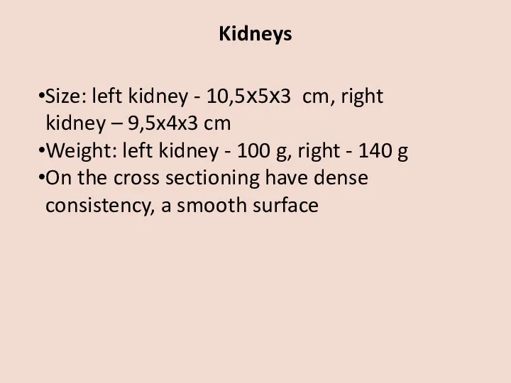 Kidneys Size: left kidney - 10,5х5х3 cm, right kidney – 9,5x4x3 cm