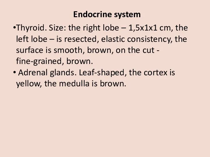 Endocrine system Thyroid. Size: the right lobe – 1,5x1x1 cm, the left