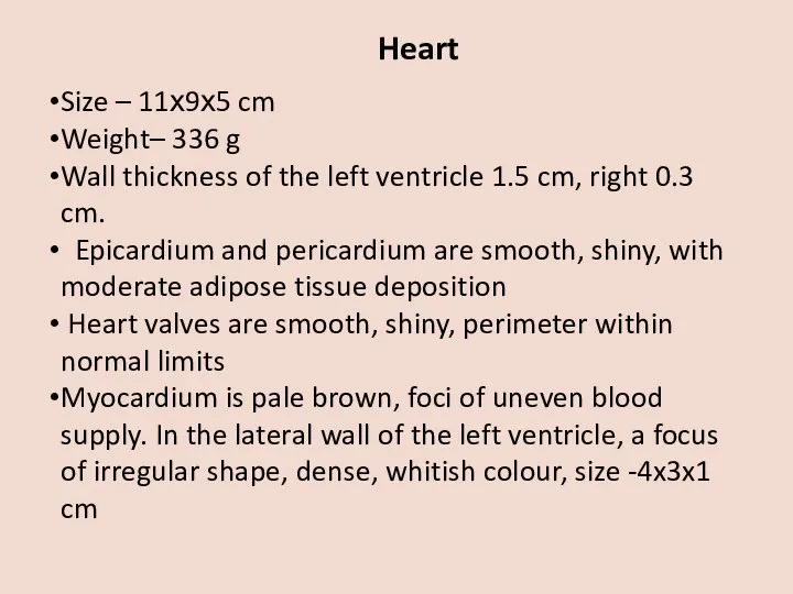 Heart Size – 11х9х5 cm Weight– 336 g Wall thickness of the