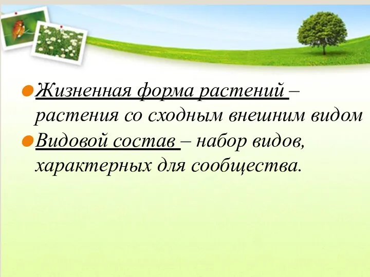 Жизненная форма растений – растения со сходным внешним видом Видовой состав –