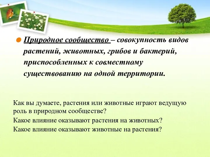 Природное сообщество – совокупность видов растений, животных, грибов и бактерий, приспособленных к