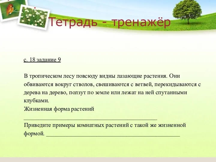 с. 18 задание 9 В тропическом лесу повсюду видны лазающие растения. Они