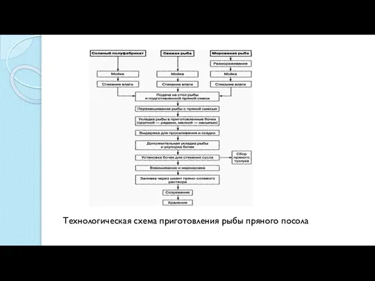 Технологическая схема приготовления рыбы пряного посола