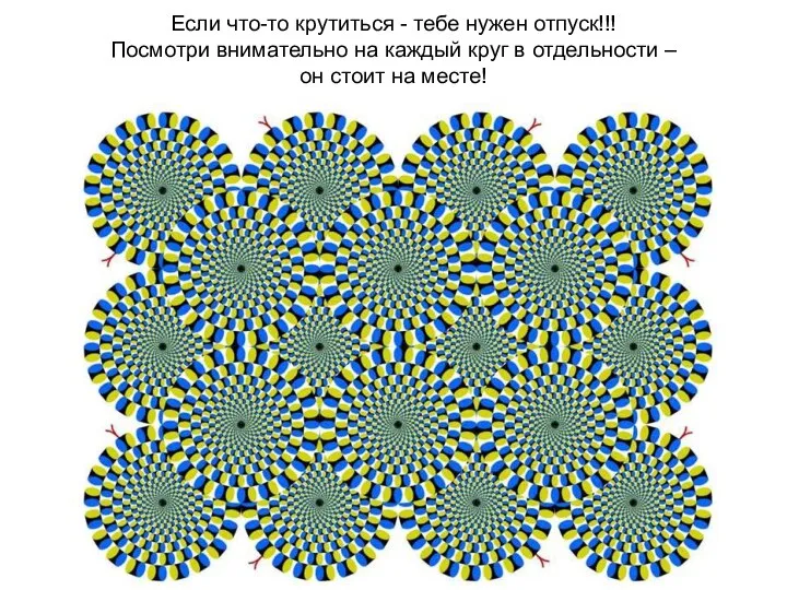 Если что-то крутиться - тебе нужен отпуск!!! Посмотри внимательно на каждый круг