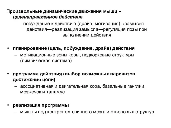 Произвольные динамические движения мышц – целенаправленное действие: побуждение к действию (драйв, мотивация)→замысел