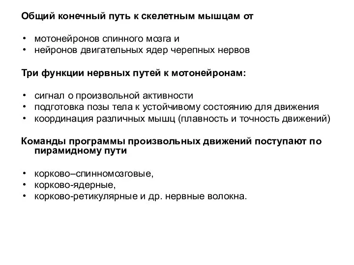 Общий конечный путь к скелетным мышцам от мотонейронов спинного мозга и нейронов