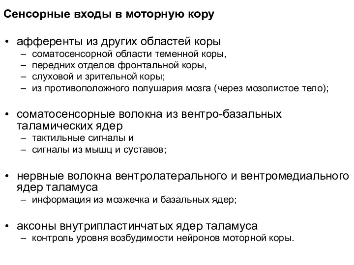 Сенсорные входы в моторную кору афференты из других областей коры соматосенсорной области