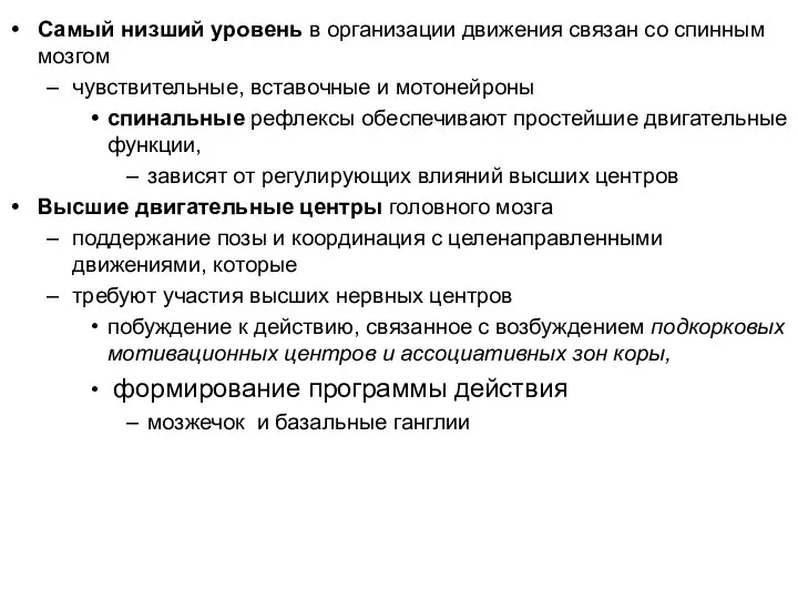 Самый низший уровень в организации движения связан со спинным мозгом чувствительные, вставочные