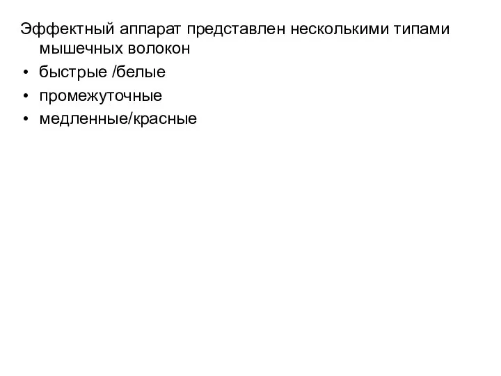 Эффектный аппарат представлен несколькими типами мышечных волокон быстрые /белые промежуточные медленные/красные