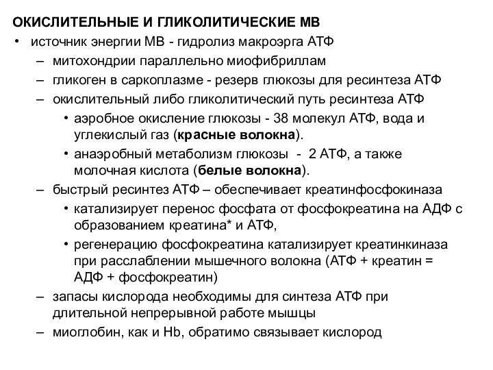 ОКИСЛИТЕЛЬНЫЕ И ГЛИКОЛИТИЧЕСКИЕ МВ источник энергии МВ - гидролиз макроэрга АТФ митохондрии