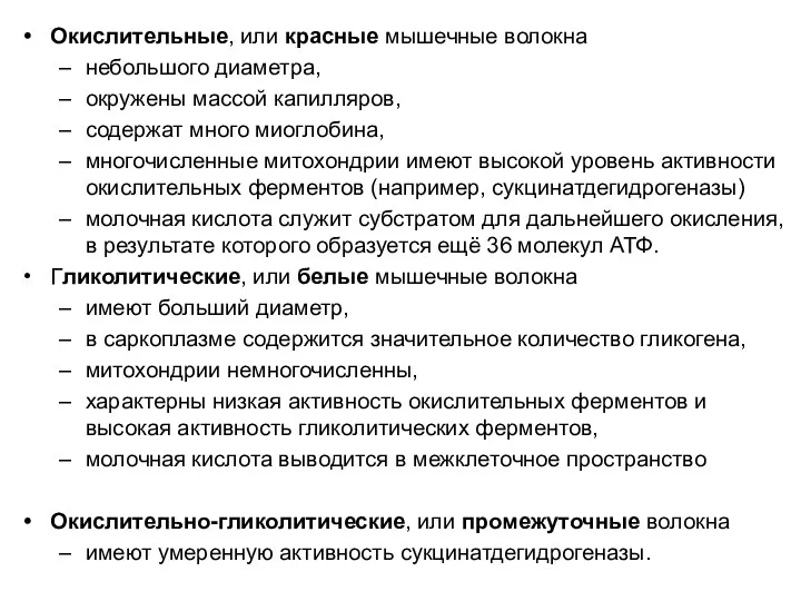 Окислительные, или красные мышечные волокна небольшого диаметра, окружены массой капилляров, содержат много