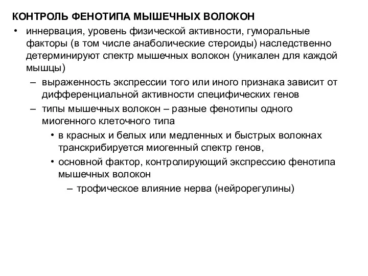 КОНТРОЛЬ ФЕНОТИПА МЫШЕЧНЫХ ВОЛОКОН иннервация, уровень физической активности, гуморальные факторы (в том