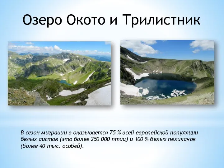 Озеро Окото и Трилистник В сезон миграции в оказывается 75 % всей