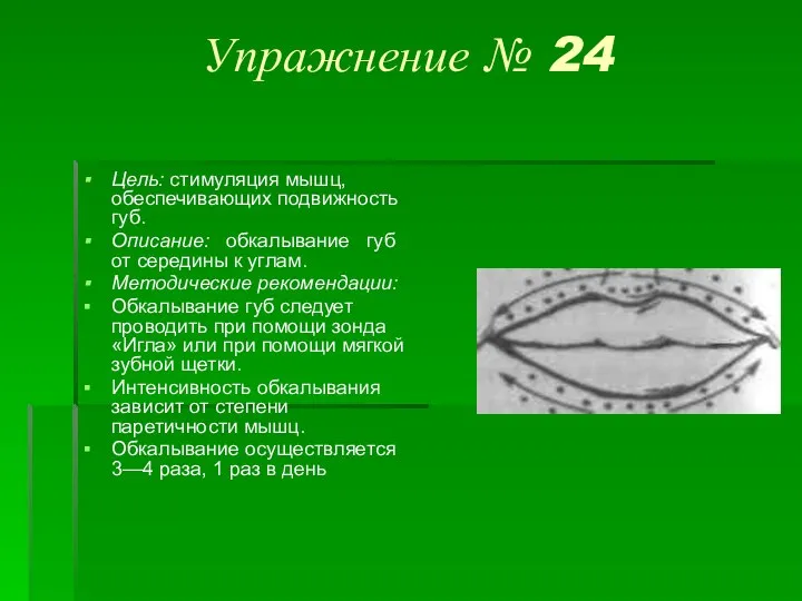 Упражнение № 24 Цель: стимуляция мышц, обеспечивающих подвижность губ. Описание: обкалывание губ