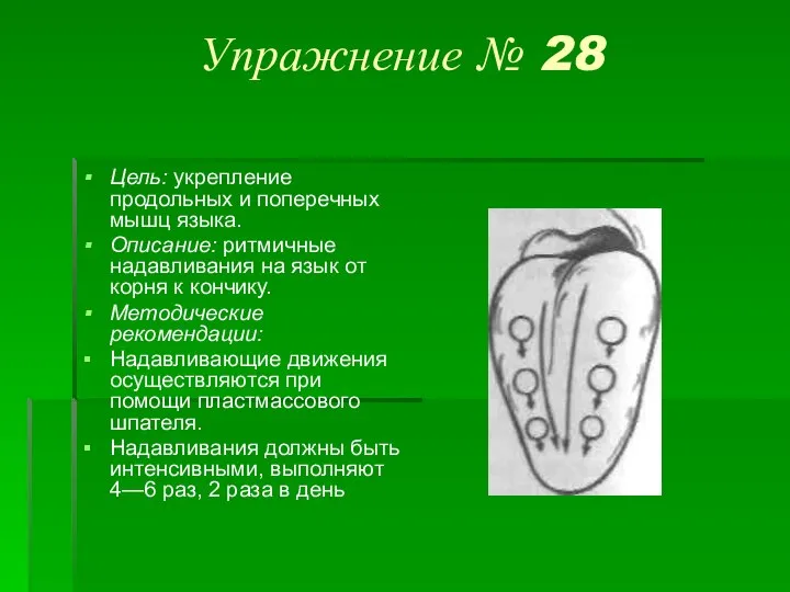 Упражнение № 28 Цель: укрепление продольных и поперечных мышц языка. Описание: ритмичные