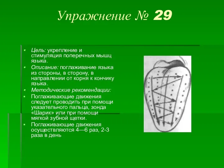 Упражнение № 29 Цель: укрепление и стимуляция поперечных мышц языка. Описание: поглаживание