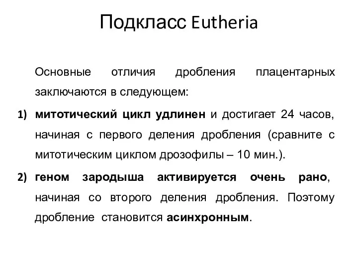 Подкласс Eutheria Основные отличия дробления плацентарных заключаются в следующем: митотический цикл удлинен
