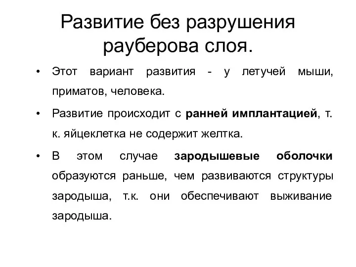 Развитие без разрушения рауберова слоя. Этот вариант развития - у летучей мыши,