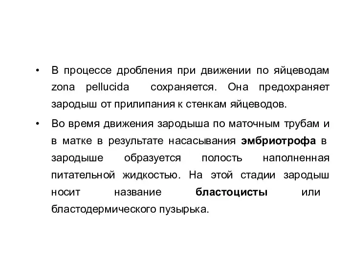 В процессе дробления при движении по яйцеводам zona pellucida сохраняется. Она предохраняет