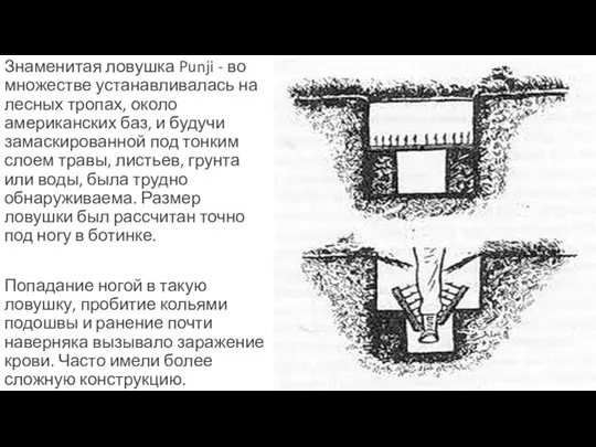 Знаменитая ловушка Punji - во множестве устанавливалась на лесных тропах, около американских