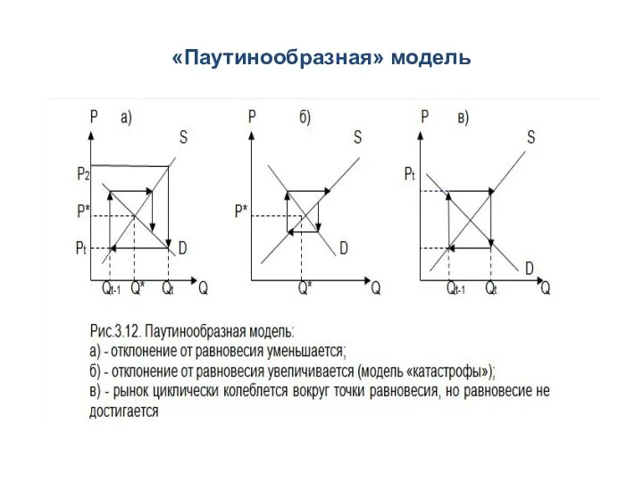 «Паутинообразная» модель