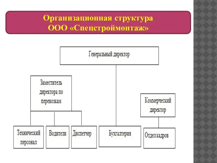 Организационная структура ООО «Спецстроймонтаж»