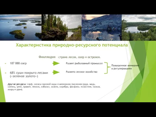 Характеристика природно-ресурсного потенциала 187 888 озер 68% суши покрыто лесами («зеленое золото»)