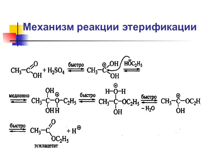 Механизм реакции этерификации