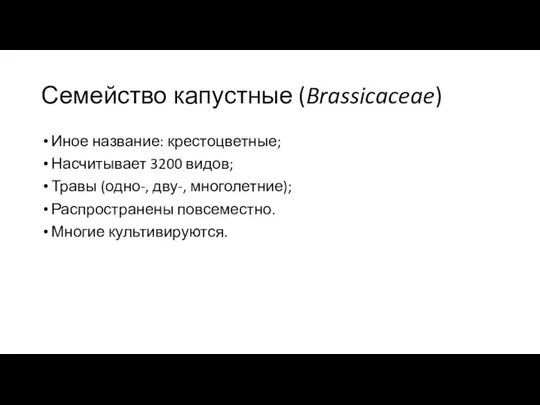 Семейство капустные (Brassicaceae) Иное название: крестоцветные; Насчитывает 3200 видов; Травы (одно-, дву-,