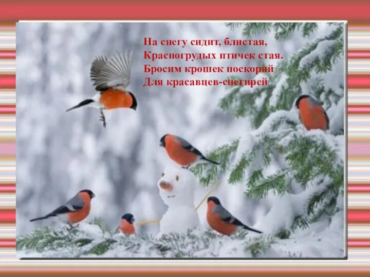 На снегу сидит, блистая, Красногрудых птичек стая. Бросим крошек поскоряй Для красавцев-снегирей