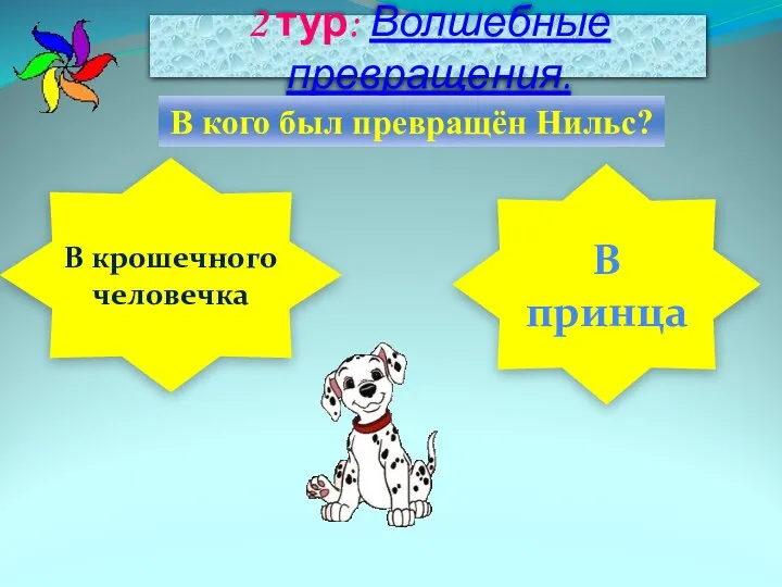 2 тур: Волшебные превращения. В кого был превращён Нильс? В крошечного человечка В принца