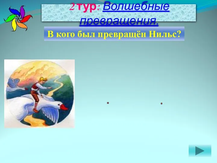 2 тур: Волшебные превращения. В кого был превращён Нильс?