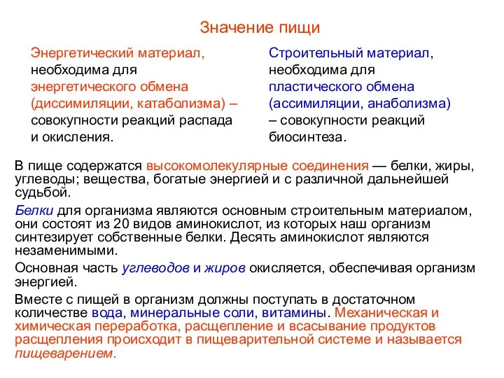 В пище содержатся высокомолекулярные соединения — белки, жиры, углеводы; вещества, богатые энергией