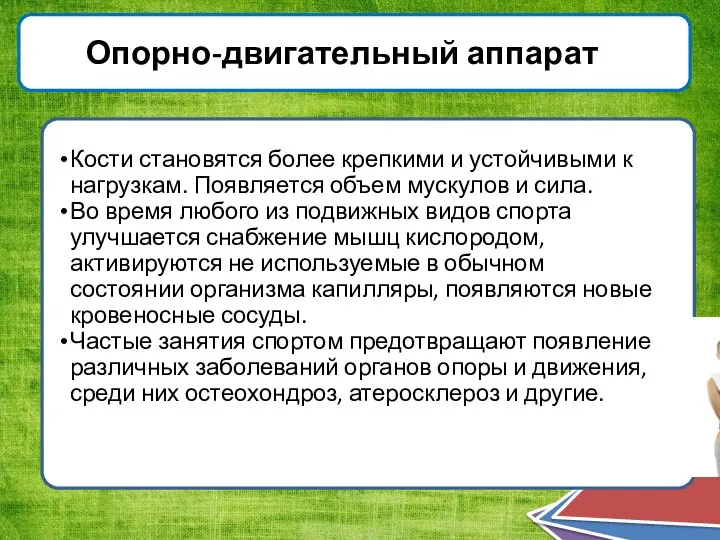 Опорно-двигательный аппарат Кости становятся более крепкими и устойчивыми к нагрузкам. Появляется объем