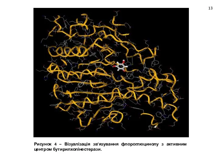 Рисунок 4 – Візуалізація зв’язування флороглюцинолу з активним центром бутирилхолінестерази. 13
