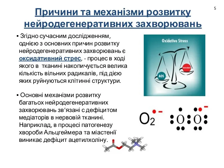 Згідно сучасним дослідженням, однією з основних причин розвитку нейродегенеративних захворювань є оксидативний