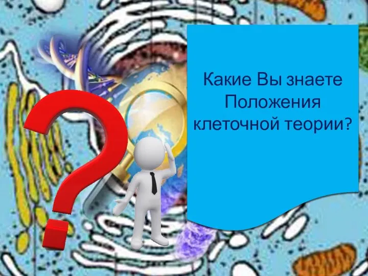 Какие Вы знаете Положения клеточной теории?