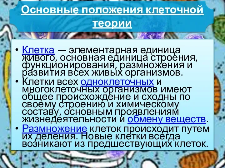 Клетка — элементарная единица живого, основная единица строения, функционирования, размножения и развития