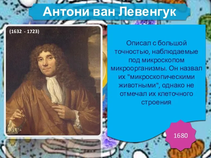 . Описал с большой точностью, наблюдаемые под микроскопом микроорганизмы. Он назвал их