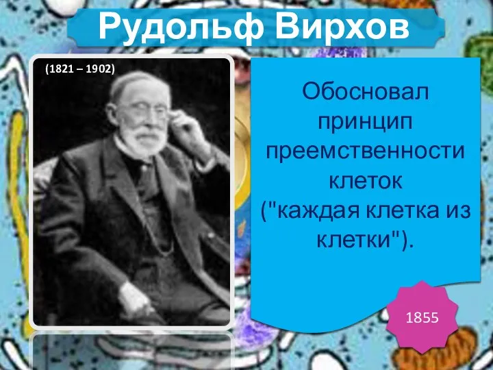Обосновал принцип преемственности клеток ("каждая клетка из клетки"). 1855 Рудольф Вирхов (1821 – 1902)