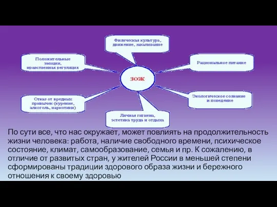 По сути все, что нас окружает, может повлиять на продолжительность жизни человека: