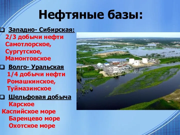 Нефтяные базы: Западно- Сибирская: 2/3 добычи нефти Самотлорское, Сургутское, Мамонтовское Волго- Уральская