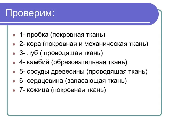 Проверим: 1- пробка (покровная ткань) 2- кора (покровная и механическая ткань) 3-